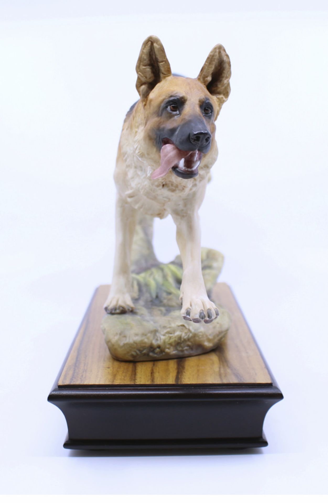 Albany Canine Series Alsatian (G.S.D.) Sculpture - Image 3 of 5