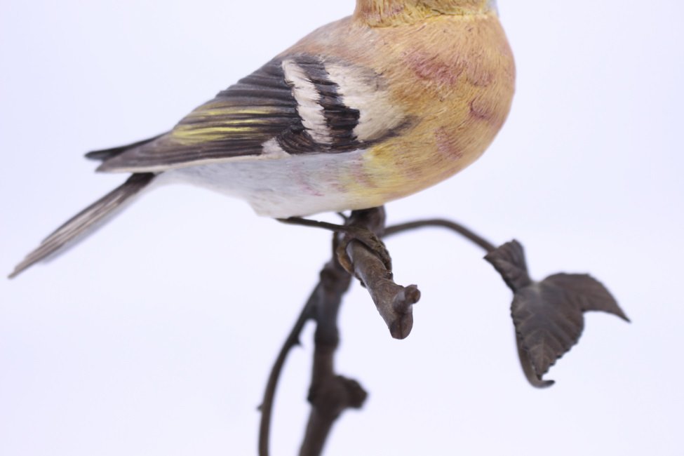 Albany Worcester County Birds Porcelain & Bronze Chaffinch - Image 6 of 9