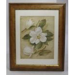 Flower Print Set in Wood & Gilt Frame