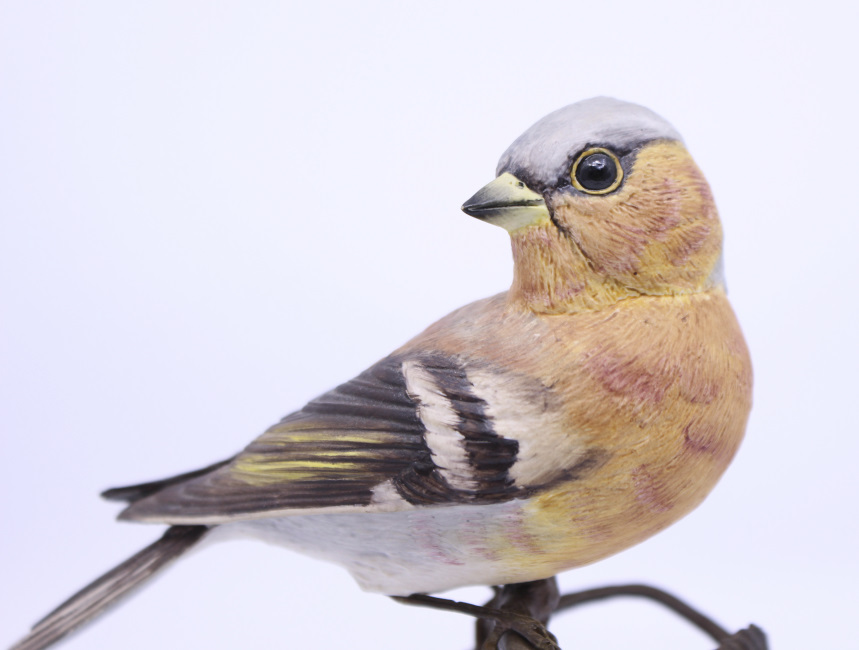 Albany Worcester County Birds Porcelain & Bronze Chaffinch - Image 5 of 9