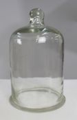 Victorian Bell Glass Dome Cover
