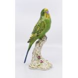 Royal Worcester Bird Green Budgerigar 2663