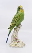 Royal Worcester Bird Green Budgerigar 2663