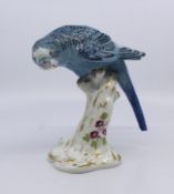 Royal Worcester Bird Blue Budgerigar 2664