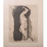 Unbekannte Künstler (20. Jh.), liegender weiblicher Akt, Radierung, Blatt m. Druckstempel „A. v.d.