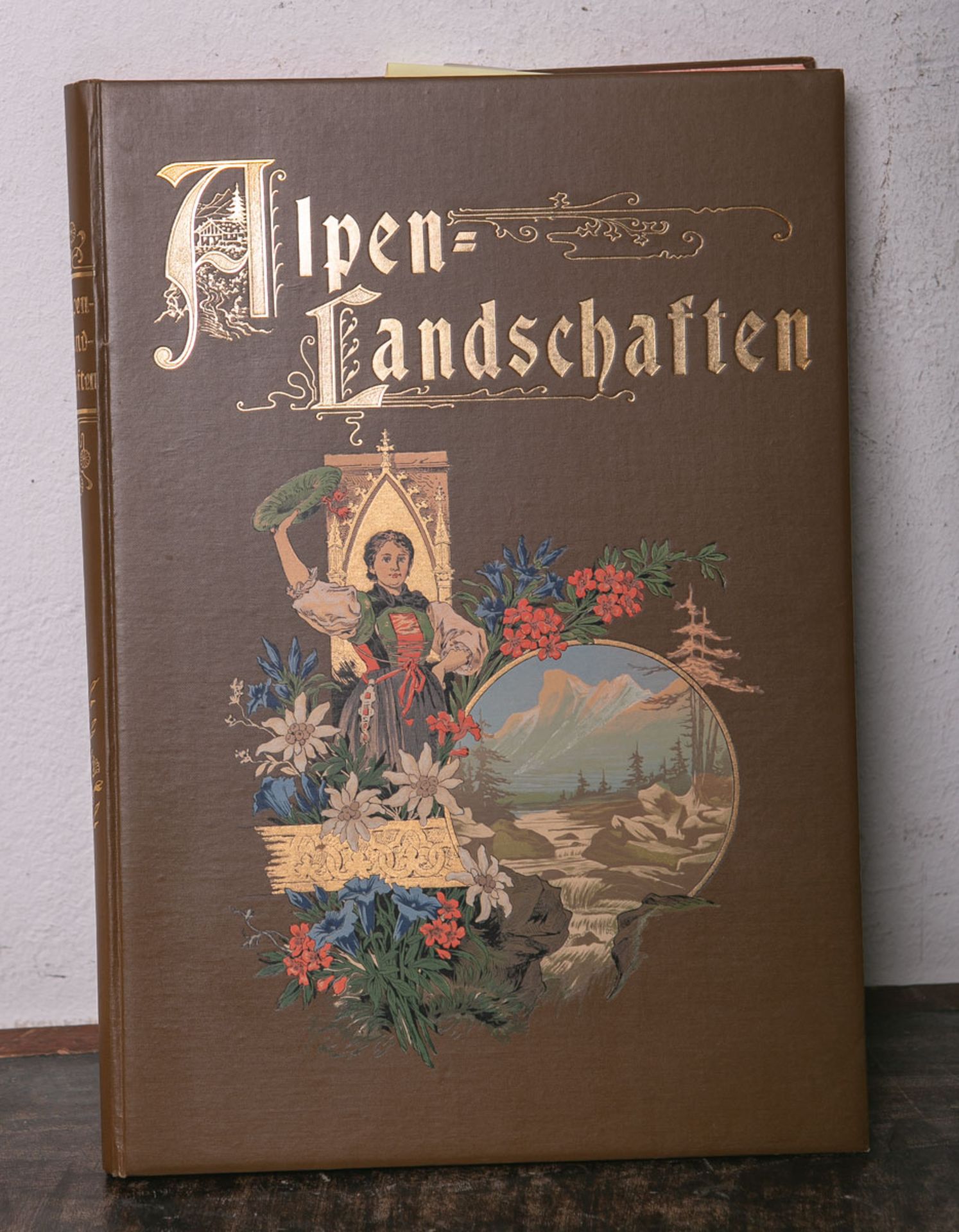 Meurer, Julius, Foliant, "Alpenlandschaften. Ansichten aus der deutschen, österreichischen,