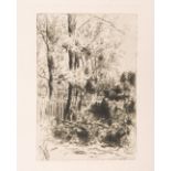 Heins, Armand (1856 - 1938), „Garten", Radierung, li. u. in der Platte sign., li. u. handschriftlich
