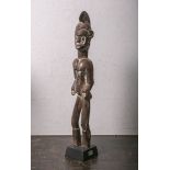 Stehende weibliche Ahnenfigur der Senufo (Elfenbeinküste, Afrika), Holz geschnitzt, H. ca. 62 cm.