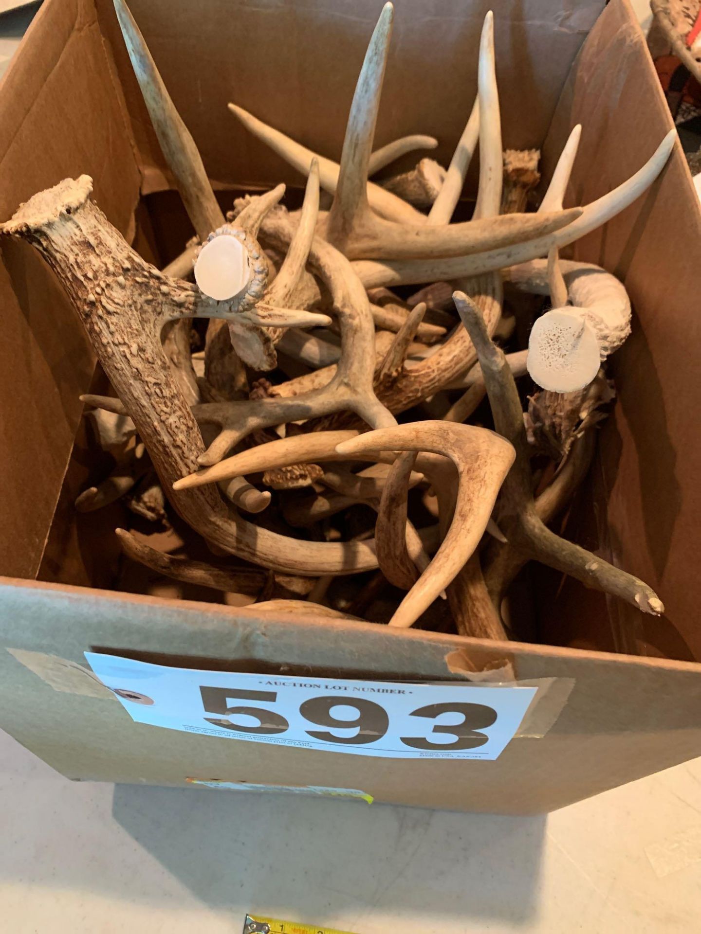 Box Lot-30 Pcs Antlers Found on Garrett Propert