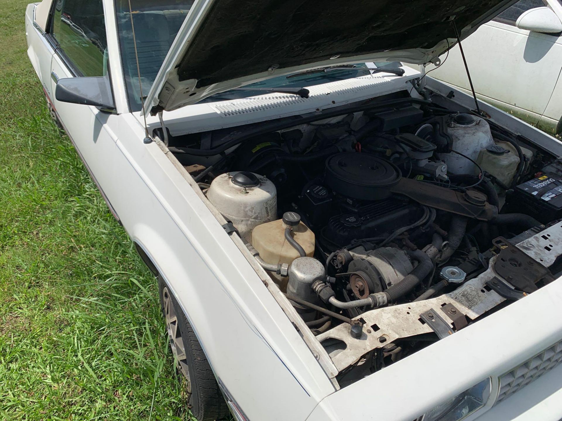 1985 Chevrolet Cavalier Convertible - Image 12 of 16