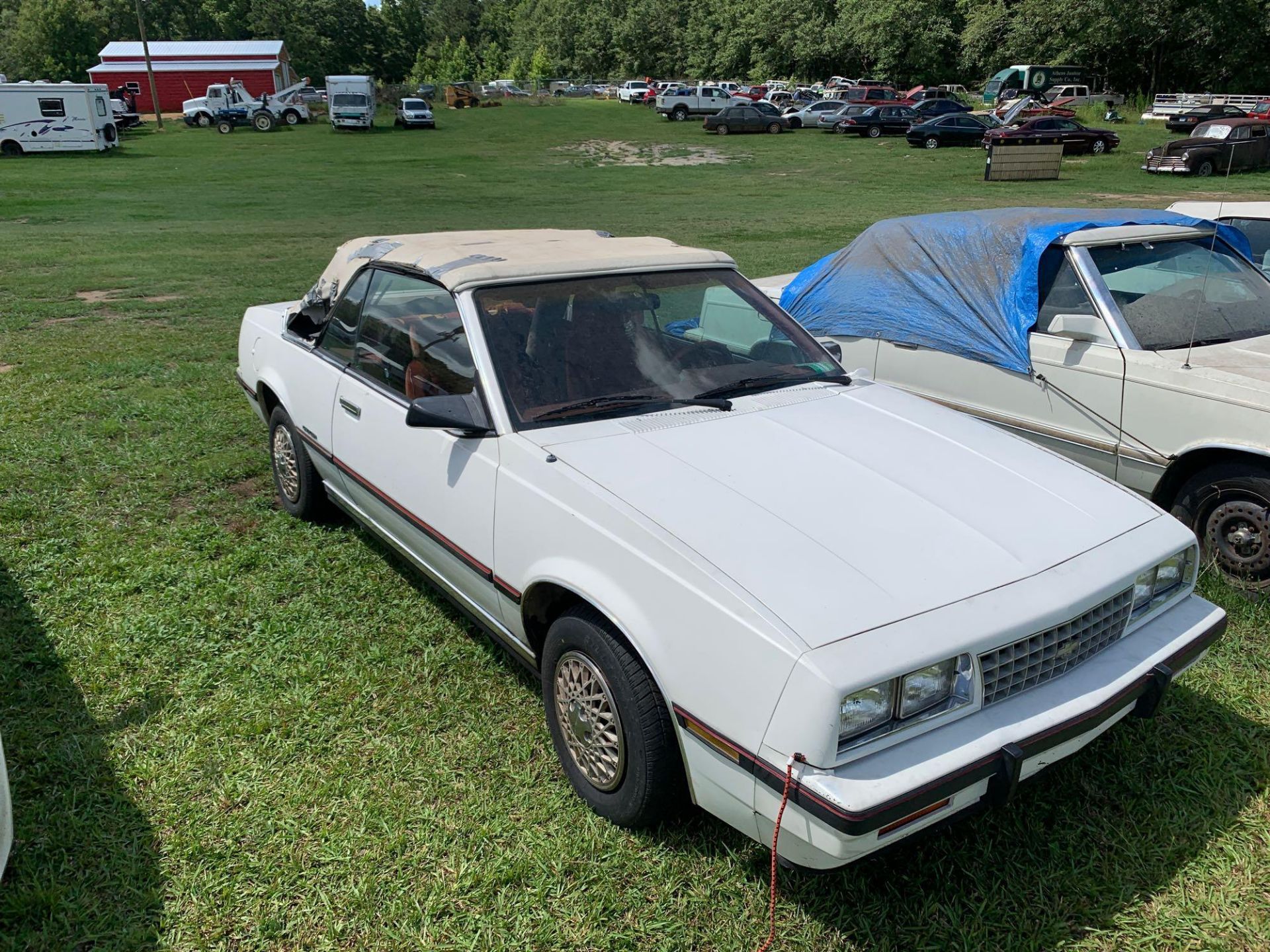 1985 Chevrolet Cavalier Type Convertible - Image 13 of 13