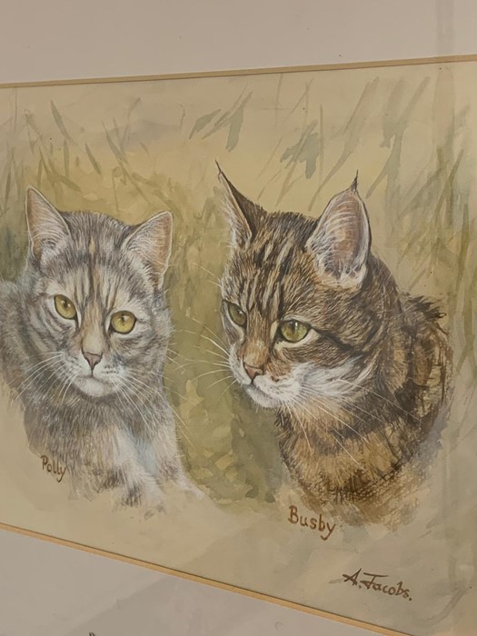 A mixed media depicting two cats "Polly and Busby", signed 'A.Jacobs', framed and glazed, (25x33 - Image 2 of 2
