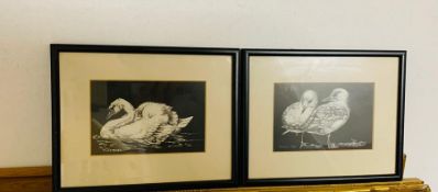 A pair of Grattage drawings depicting "Mute Swan" and "Common Gull", signed with initials and one