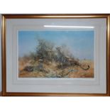 David Shepherd Limited edition, signed and numbered print "Cheetah" (46x71 cm).
