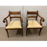 Two Mahogany chairs and two mahogany carvers.
