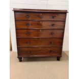 An Edwardian mahogany five drawer chest of drawers on turned feet (W 127 cm x D 60 cm x H 137 cm)