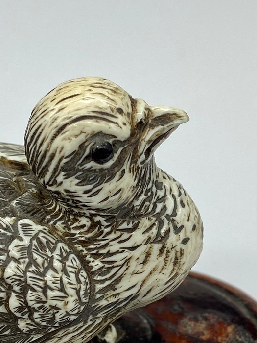 An Antique ivory bird on a wooden base. - Image 4 of 4