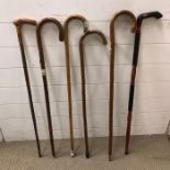 A selection of walking sticks