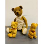 Three vintage teddy bears