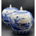 A Pair of Blue and White Chinese lidded vases / ginger jars.