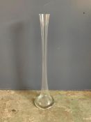 A tall glass vase (H64cm)