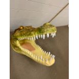 A model of a crocodile head (H80cm)