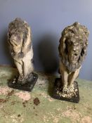 A pair of reclaimed garden lion statues (H52cm)