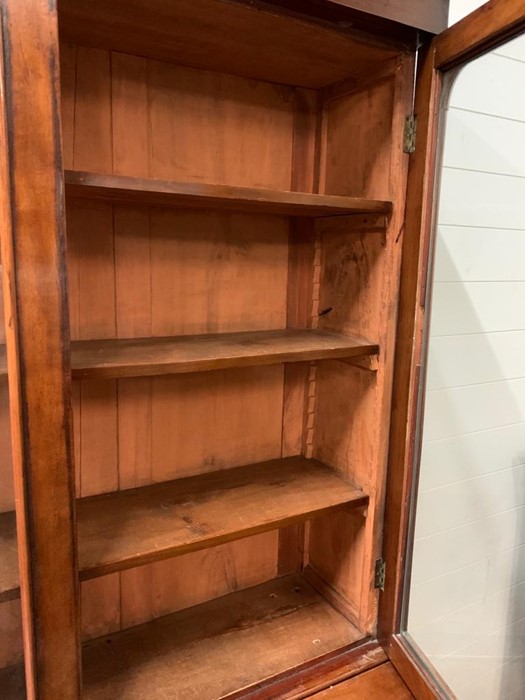 A mahogany library bookcase with cupboard to base AF (H200cm W105cm D40cm) - Image 2 of 11