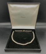 A Single knotted row of 55 pearls, 7 to 7.5mm diameter on a pearl and 3 single cut diamond set