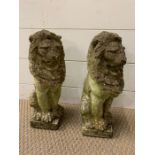 A pair of stone lions (H37cm)