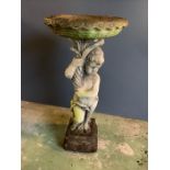 A reclaimed cherub bird bath, holding up the water basin (H92cm)