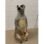 A life size plastic model of a Meerkat