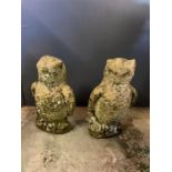 A pair of garden stone owls (H33cm)