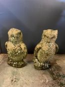 A pair of garden stone owls (H33cm)