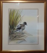 Kevin Richardson (XX) English, "Pintail Drake", signed and dated '88, watercolour, framed and glazed