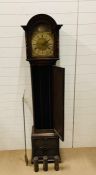 A Tempus Fugit long case clock
