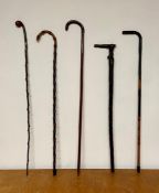 A varied selection of five quality wooden walking sticks.