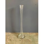 A tall glass vase (H64cm)