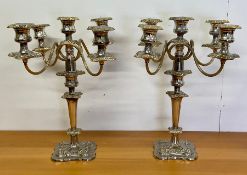 A Pair of substantial five light candelabras.