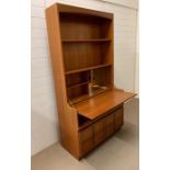 A Mid Century Nathan drinks cabinet with cupboard under (H193cm W104cm D45cm)