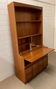 A Mid Century Nathan drinks cabinet with cupboard under (H193cm W104cm D45cm)