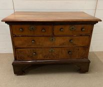 A walnut chest of two over two drawers on a bracket feet base (H72cm W98cm D54cm)