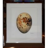 John Matthew Moore (XX-XXI) 'Bird Egg', signed and numbered 78/295, giclee print, within a