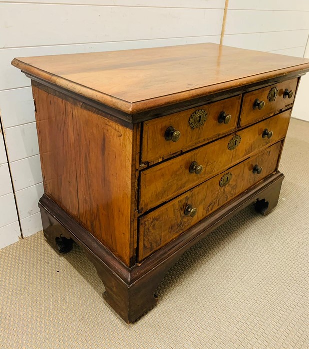 A walnut chest of two over two drawers on a bracket feet base (H72cm W98cm D54cm) - Image 4 of 5