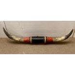 A set of bull horns