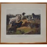 A print after Arthur Wardle, "Field Spaniels of the 20th Century", framed and glazed, (56x69 cm).