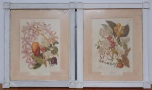 A pair of prints, framed and glazed, (55x47 cm with frame).