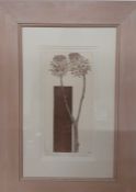Cat Outram (1959) Kenya, "Thistle", signed, titled and numbered 6/50, framed and glazed, (33x15