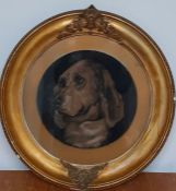 A portrait of a dog, black chalk heightened with white on brown laid paper, within an oval frame, (