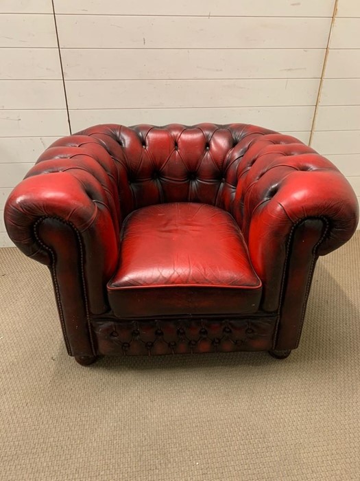 An oxblood club Chesterfield chair